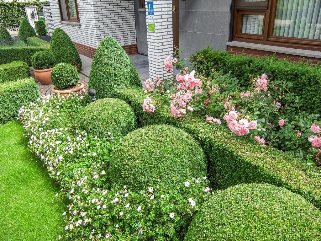 Hotel Wilgenhof Maaseik Exterior photo